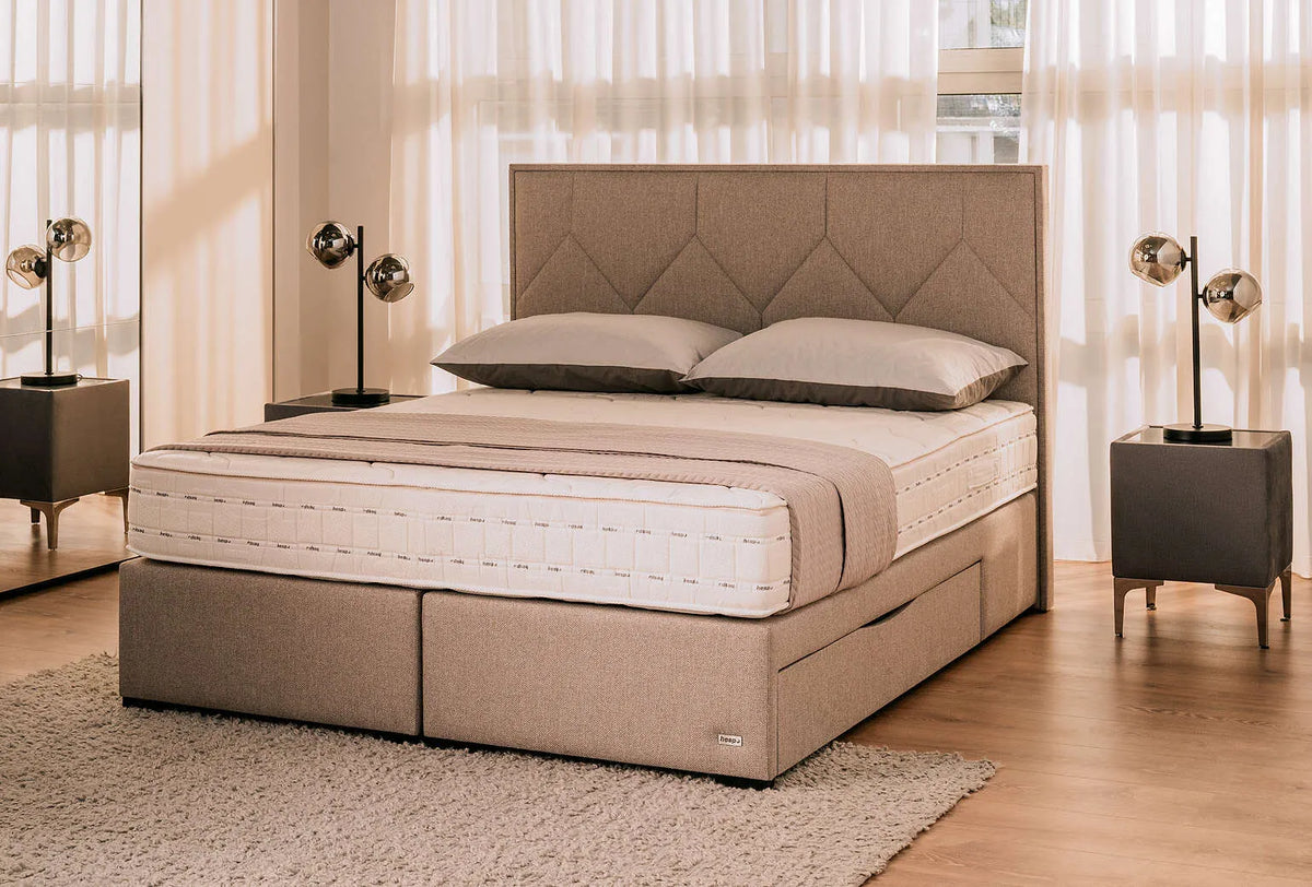 Amadeus Plus Basic