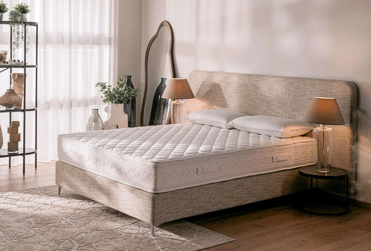 Luxury Plus 27cm